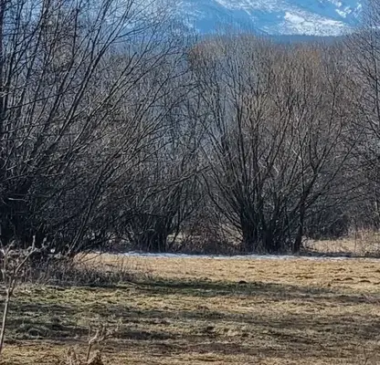Photo 2 — Plot in област София, Prodanovci