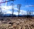 Снимка 4 — Парцел в София, с. Продановци