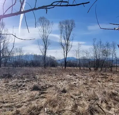 Photo 4 — Plot in област София, Prodanovci