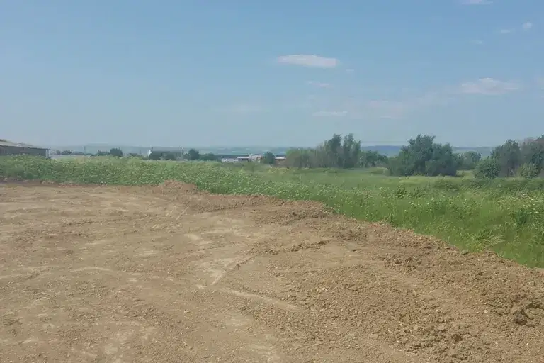 Plot in Sofia, Prolesha