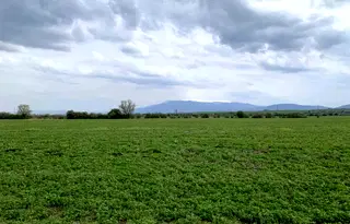 Парцел в София, с. Пролеша