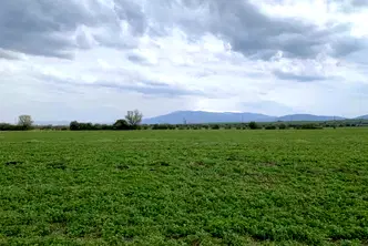 Парцел в София, с. Пролеша