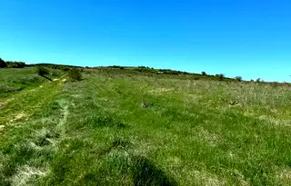 Парцел в София, с. Пролеша