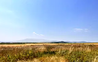 Парцел в София, с. Пролеша
