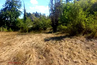 Парцел в София, с. Радуил