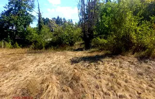 Парцел в София, с. Радуил