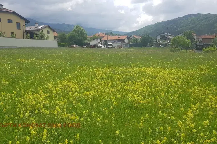 Парцел в София, с. Радуил