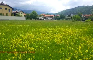 Парцел в София, с. Радуил