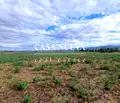 Снимка 5 — Парцел в София, с. Равно поле