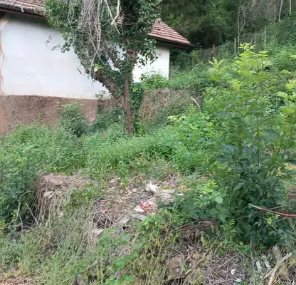 Photo 3 — Plot in област София, Rebrovo