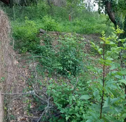 Photo 5 — Plot in област София, Rebrovo
