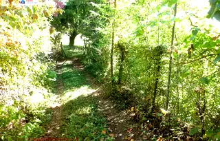 Парцел в София, с. Реброво
