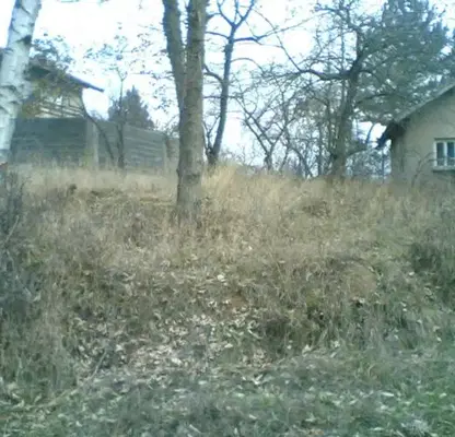 Снимка 5 — Парцел в София, с. Реброво
