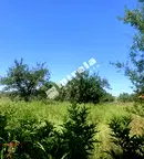 Парцел в София, с. Рельово