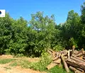 Снимка 5 — Парцел в София, с. Росоман