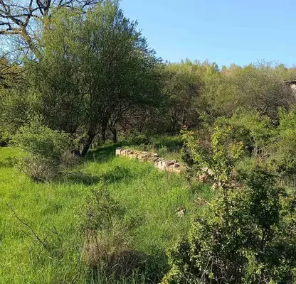 Photo 4 — Plot in Sofia, Ryjana