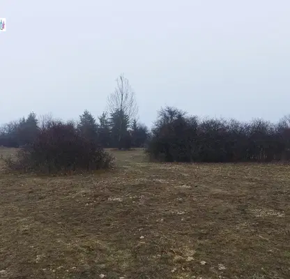Снимка 5 — Парцел в София, с. Селянин
