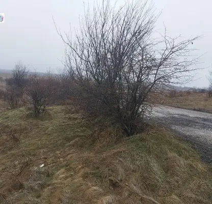 Снимка 5 — Парцел в София, с. Селянин