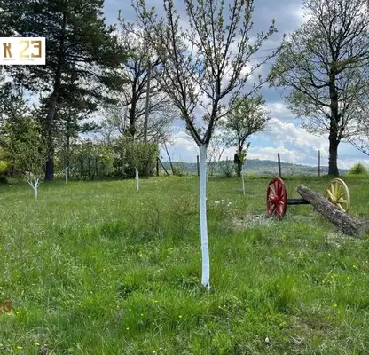 Photo 3 — Plot in област София, Vakarel