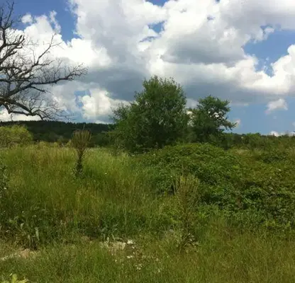 Photo 2 — Plot in Oblast Stara Zagora, Kazanlyk