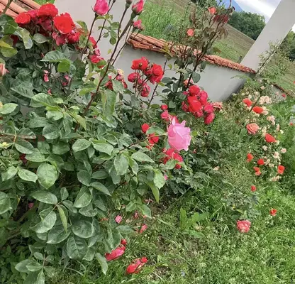 Photo 4 — Plot in Stara Zagora, Kazanlyk