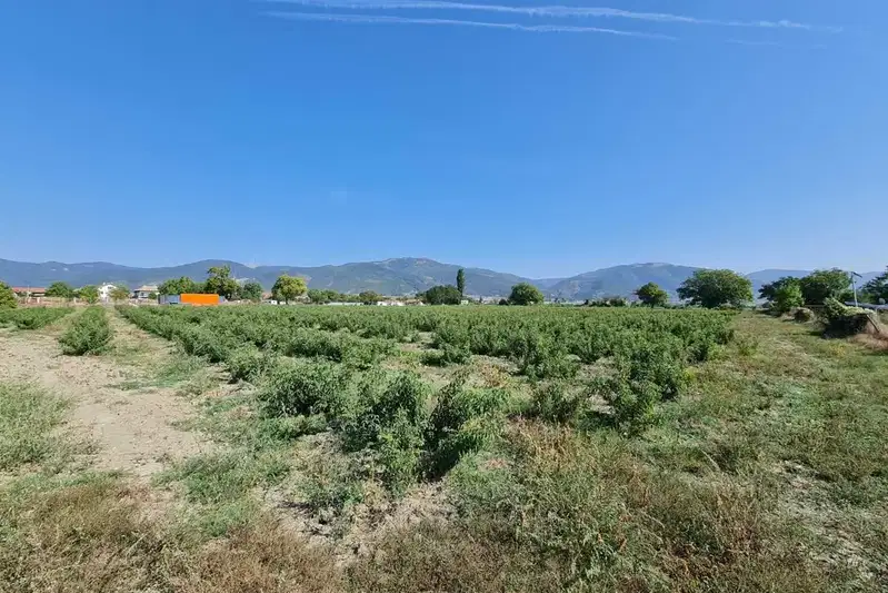 Парцел в Стара Загора, Крън