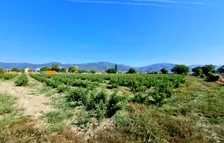 Парцел в Стара Загора, Крън