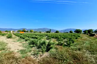 Парцел в Стара Загора, Крън