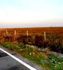 Парцел в Стара Загора, магистрала Тракия