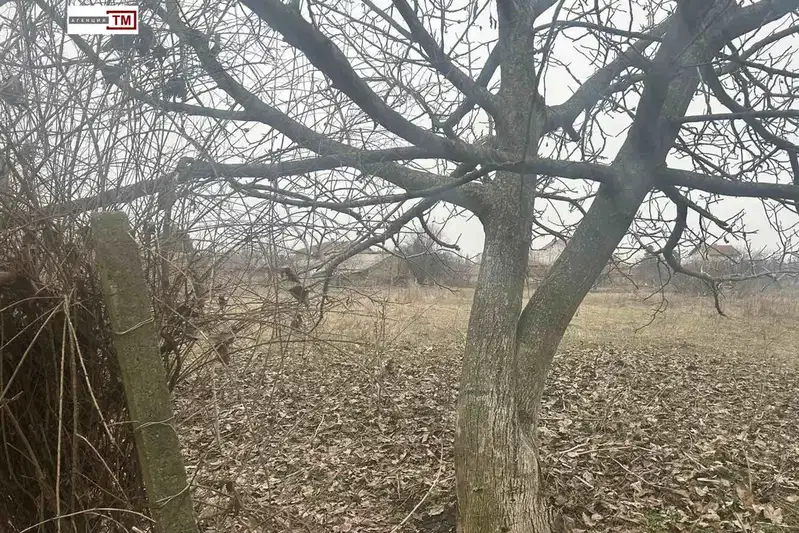 Парцел в Стара Загора, с. Арнаутито