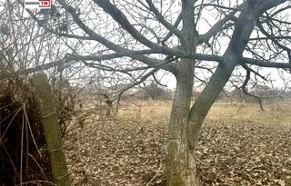 Парцел в Стара Загора, с. Арнаутито