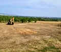 Снимка 2 — Парцел в Стара Загора, с. Богомилово