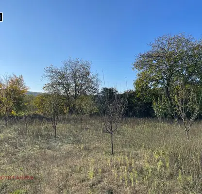 Photo 2 — Plot in Oblast Stara Zagora, Bogomilovo