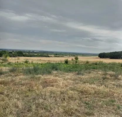 Снимка 4 — Парцел в Стара Загора, с. Богомилово