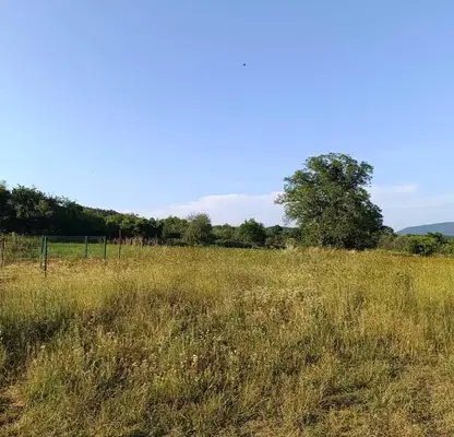 Снимка 5 — Парцел в Стара Загора, с. Борилово