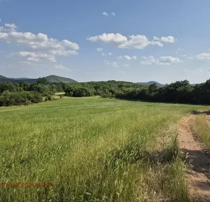 Снимка 4 — Парцел в Стара Загора, с. Борилово