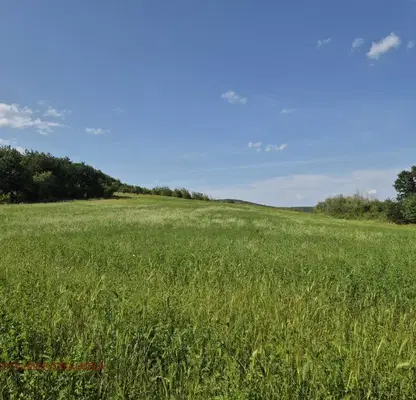 Снимка 5 — Парцел в Стара Загора, с. Борилово