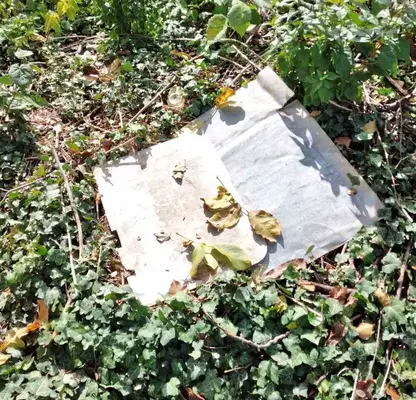 Photo 4 — Plot in Oblast Stara Zagora, Borilovo