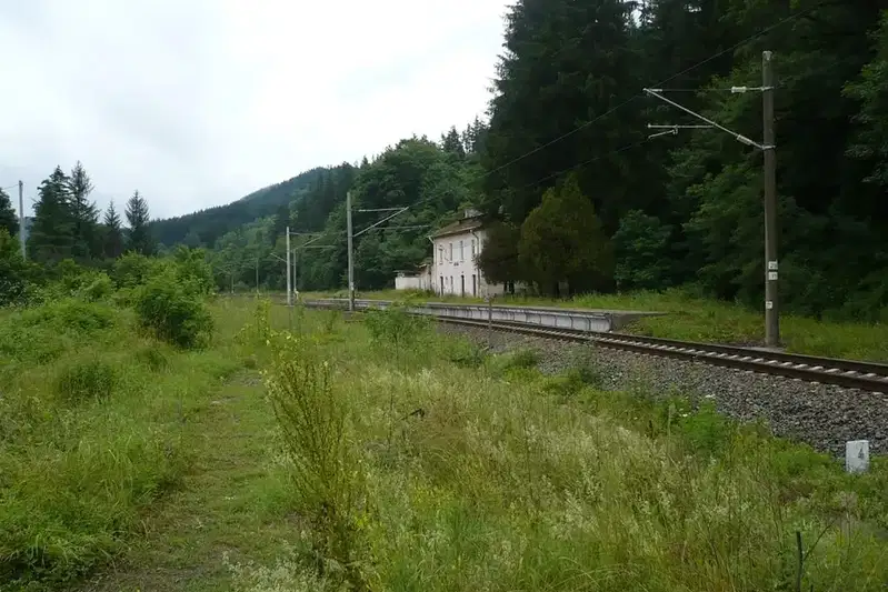 Парцел в Стара Загора, с. Борущица