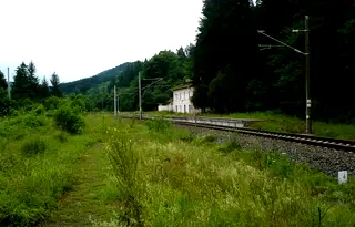 Парцел в Стара Загора, с. Борущица