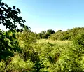 Снимка 2 — Парцел в Стара Загора, с. Бяло поле