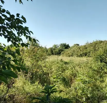 Снимка 2 — Парцел в Стара Загора, с. Бяло поле