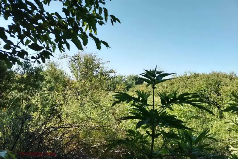 Парцел в Стара Загора, с. Бяло поле