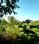 Парцел в Стара Загора, с. Бяло поле