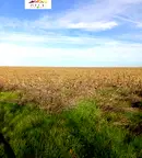 Парцел в Стара Загора, с. Бяло поле