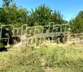 Снимка 5 — Парцел в Стара Загора, с. Бяло поле