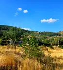 Парцел в Стара Загора, с. Дълбоки
