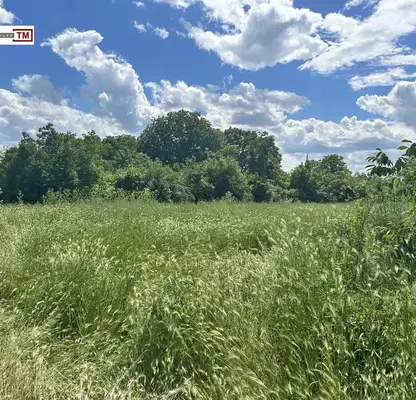 Снимка 3 — Парцел в Стара Загора, с. Дълбоки