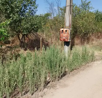 Photo 4 — Plot in Oblast Stara Zagora, Kolarovo