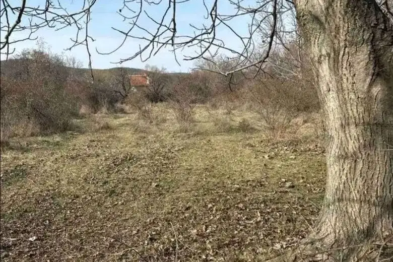 Plot in Oblast Stara Zagora, Kolena